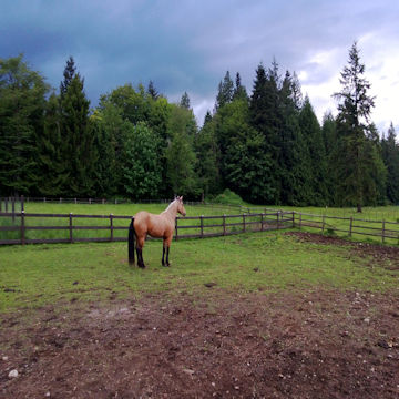 pastures360 (2018_05_20 08_27_52 UTC)