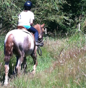 trailride (2018_05_20 08_27_52 UTC)