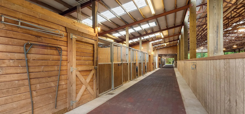 serenity-stables-immediate-availability